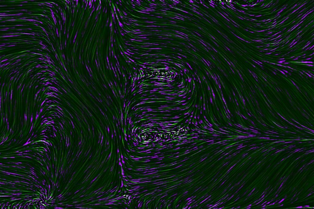 Photo Artificial intelligence software